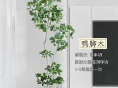 -李村大集
