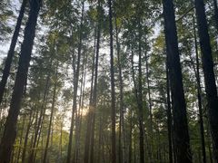 -呼伦贝尔大草原