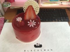 -BLACKSWAN黑天鹅(环球店)