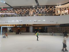 -TheRink大零溜冰场(IFS国金中心店)