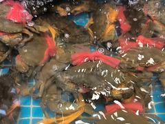 -好人家海鲜酒楼(淞南路店)