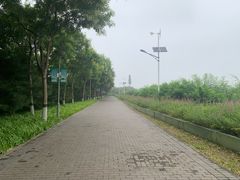-大兴滨河森林公园