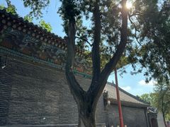-关林