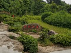 -铁山坪森林公园