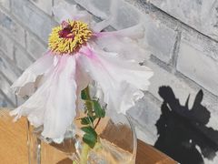 -VOYAGE COFFEE(杨梅竹店)