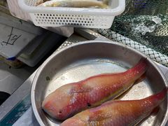 -长平肥姐白粥·海鲜打冷