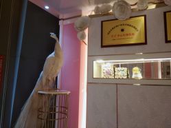 -英芬国际月子中心(岛屿度假月子·洲至奢选香岚店)