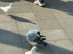 -吊水壶国家森林公园