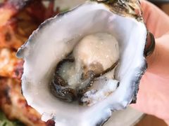 -12 Rocks Beach Bar Cafe