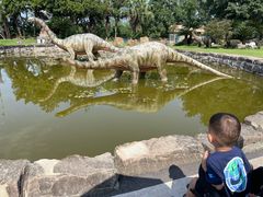 -自贡恐龙博物馆