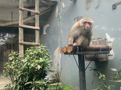 -成都动物园
