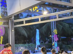-渔家火锅·海鲜自助餐·演艺(亚龙湾天域酒店)