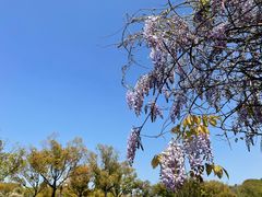 -上海野生动物园
