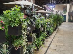 -喜粤8号(四海唐人街店)