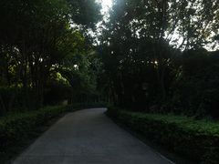 -月亮湾公园