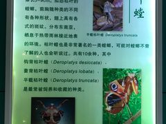 -上海昆虫博物馆