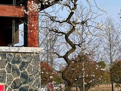 -苏州上方山国家森林公园
