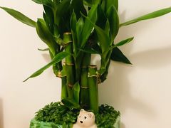 -黑石咖啡(小十字店)