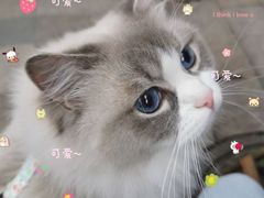 -白熊咖啡(闽江大道店)