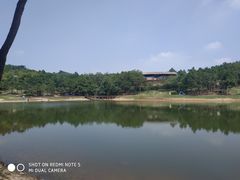 -南京市无想山景区