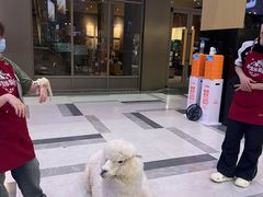 -老昌春饼(新天地店)