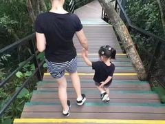 -呀诺达热带雨林