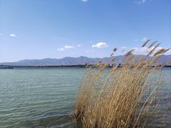 -野鸭湖国家湿地公园