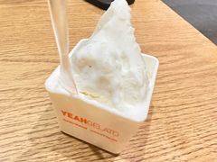 -野人先生现做冰淇淋(北京环宇荟店)