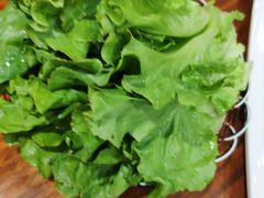 生菜-大海渝重庆老火锅(晋江店)