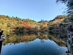 -九如山休闲旅游度假区