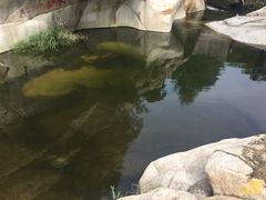 -碓臼峪自然风景区