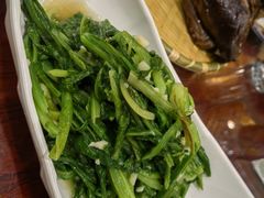 -邵年鸽(杨庄店)