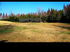 -东平国家森林公园