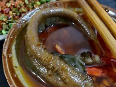 -肥龙火锅(南坪店)
