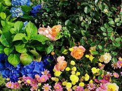 -人民公园(罗湖区)