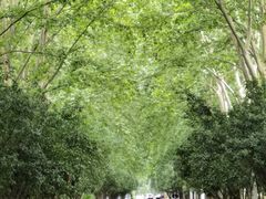 -河南省黄河迎宾馆