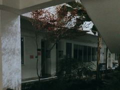 -苏州工业园区星湾学校