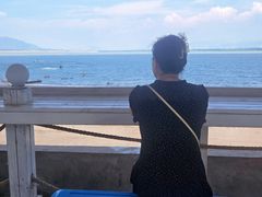-观澜小洱海