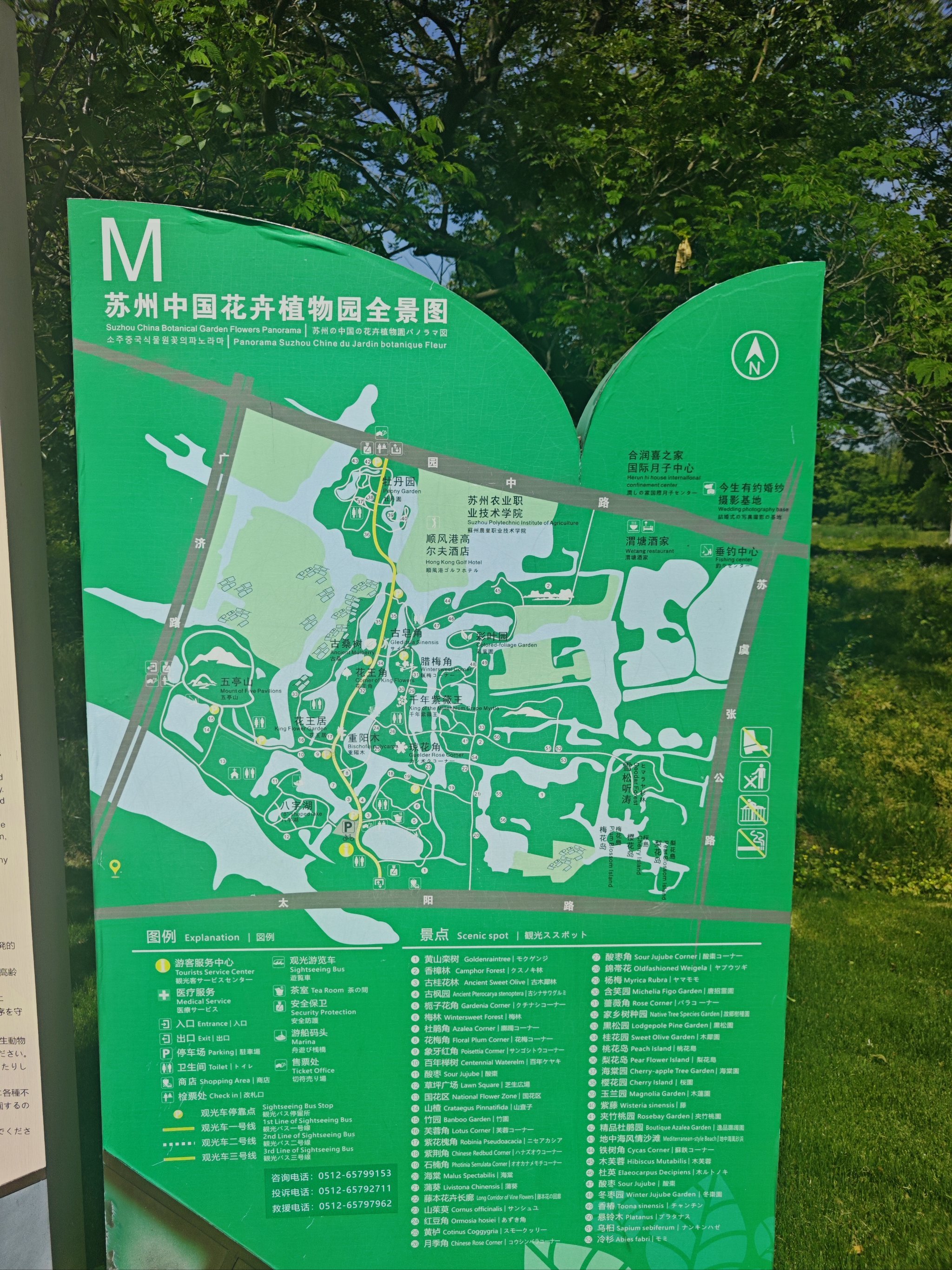 一片绿意盎然的好地方