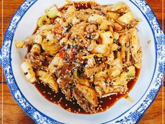 -龙翔山庄雷鸡肉(青城后山泰安古镇店)