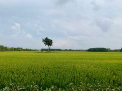 -嘉北郊野公园