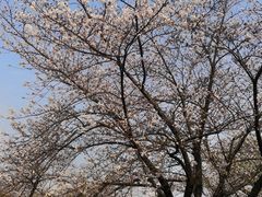 -蠡湖大桥公园