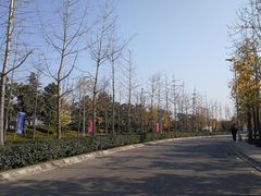 -西安锦江国际酒店