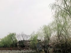 -自然谷恐龙园
