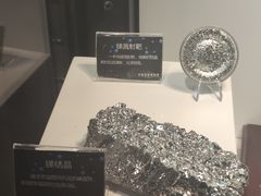 -中国地质博物馆