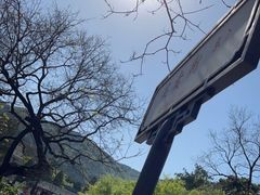 -香山公园