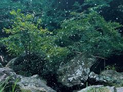 -长谷洞天