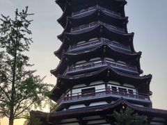 -洋湖国家湿地公园