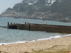 -玫瑰海岸文化旅游度假区