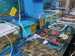 水产区-粤盛海鲜平价店(洛溪食街店)